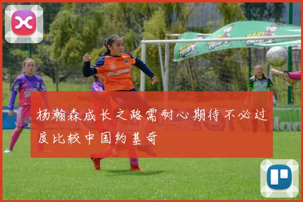 杨瀚森成长之路需耐心期待不必过度比较中国约基奇
