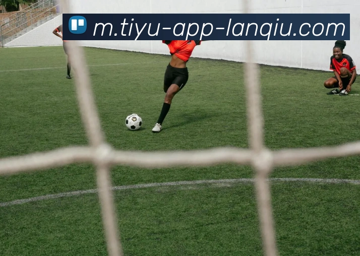 篮球赌注品牌故事