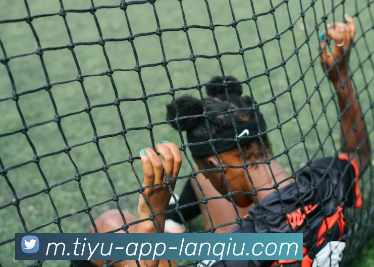 篮球赌注服务体系